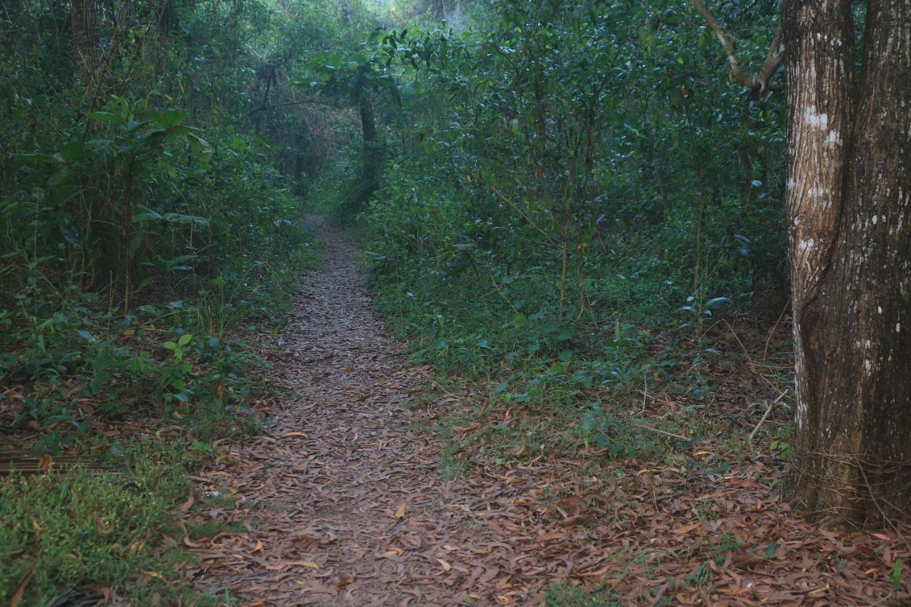 Arakkal Heritage Mararikulam Buitenkant foto
